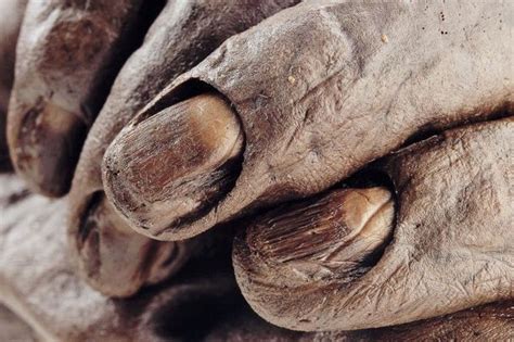 FACTSHEET 9 BOG BODIES AND RITUAL .